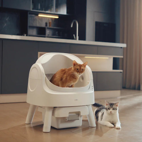 Smart Scoop Free Cat Litter Box