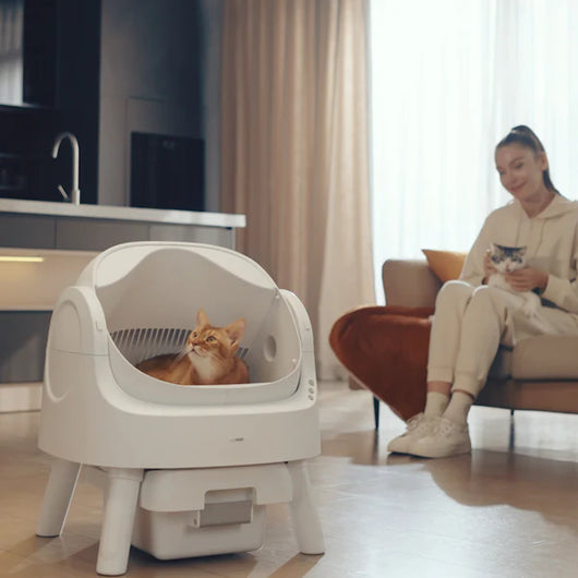 Smart Scoop Free Cat Litter Box
