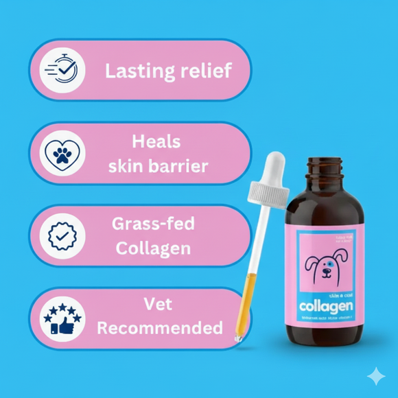 Feature product image